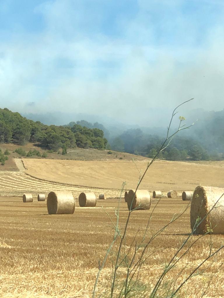 Arde parte del monte de Villagarcía de Campos. 