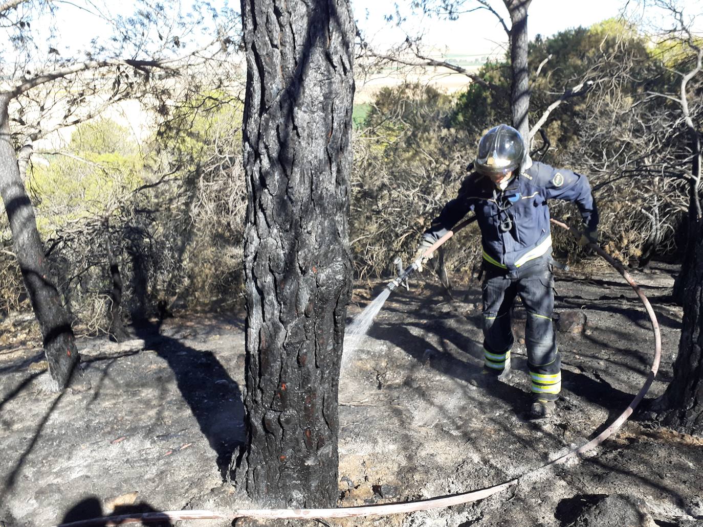 Fotos: Así han quedado el histórico monte de Villagarcía de Campos