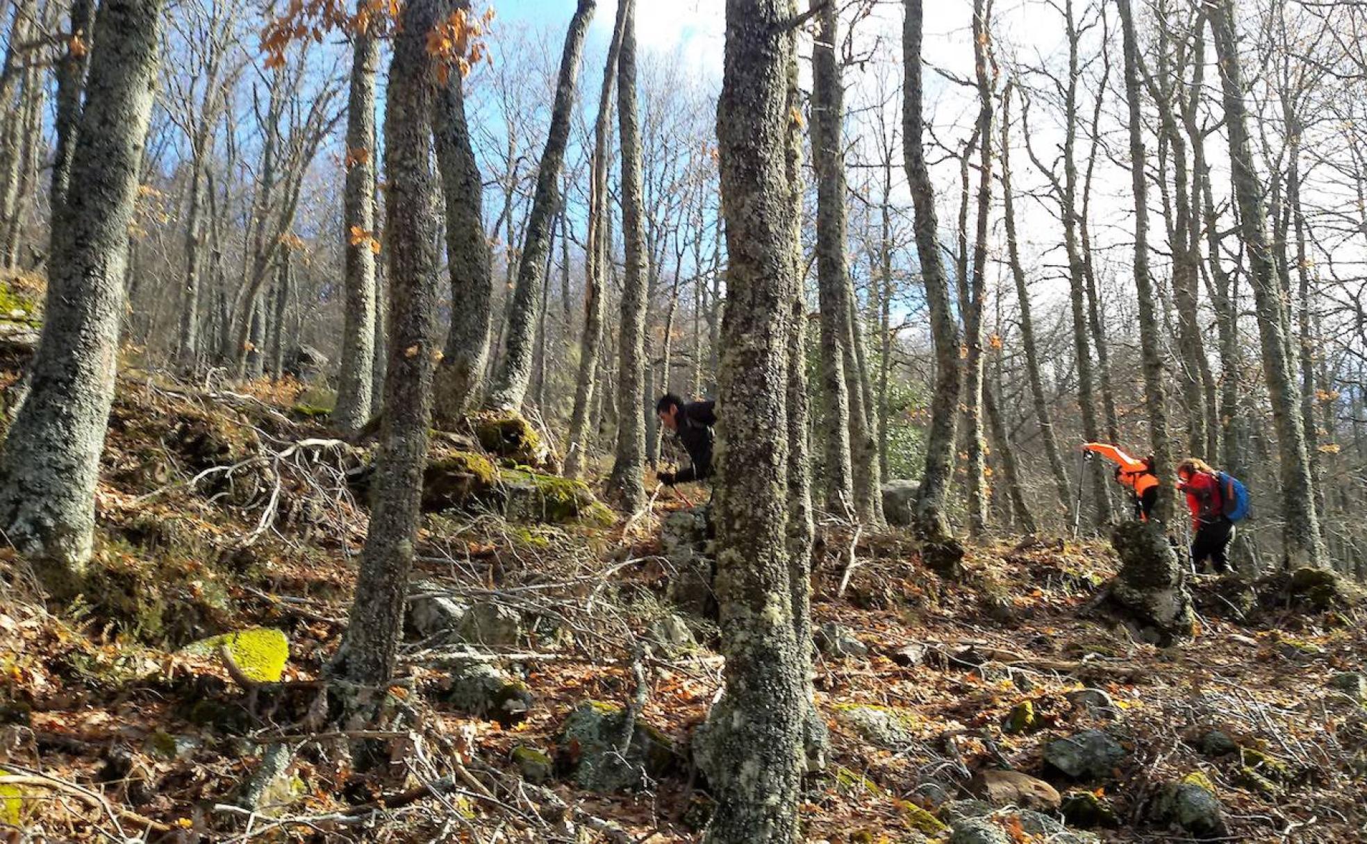 Uno de los espacios naturales de bosques autóctono que ofrece Brañosera para el visitante. 