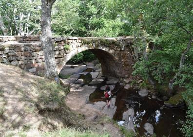 Imagen secundaria 1 - Chozo Tonino, uno de los refugios de pastor que se pueden encontrar por este entorno natural. Abajo, el puente romano de Rojadillo y un haya de gran porte de las que se encuentran por la zona. 