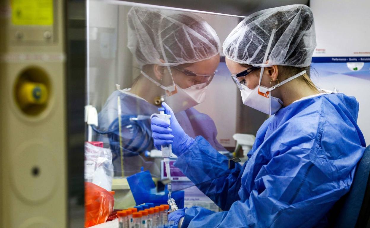 Una profesional sanitaria trabaja con en un laboratorio. 