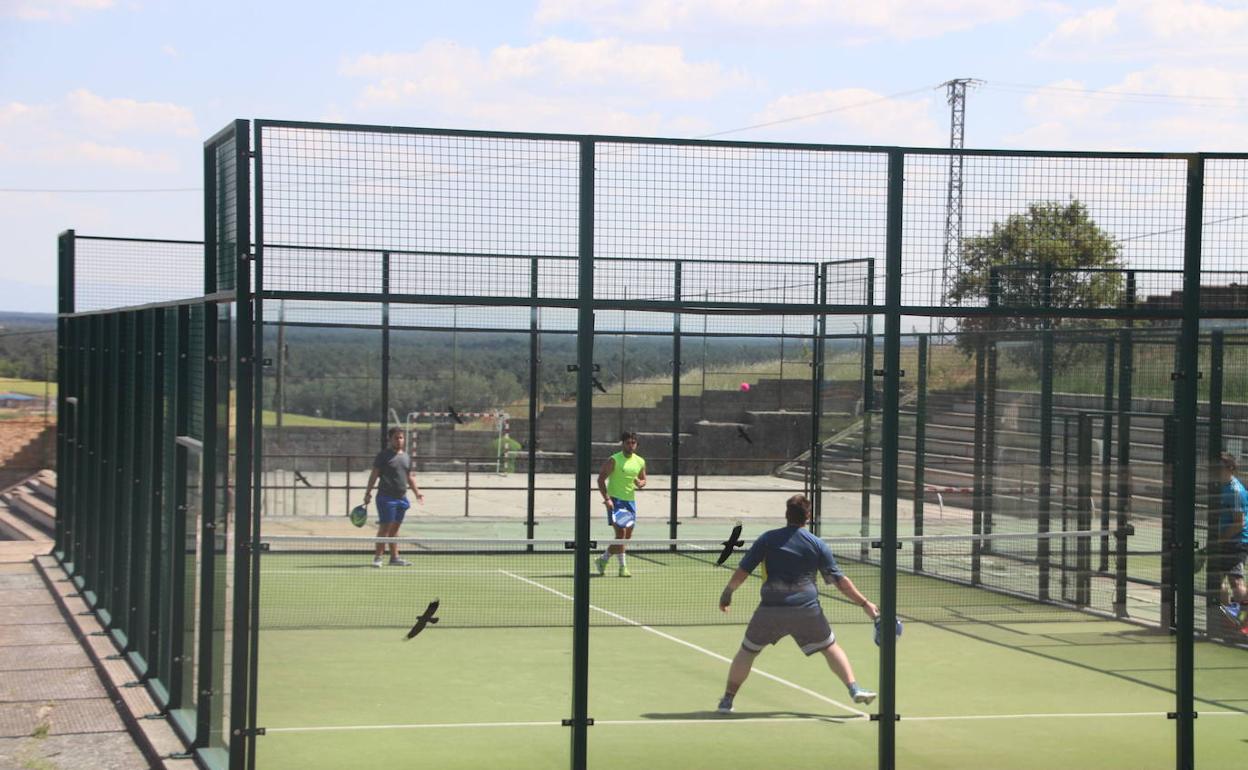 Pistas de pádel en Cuéllar.