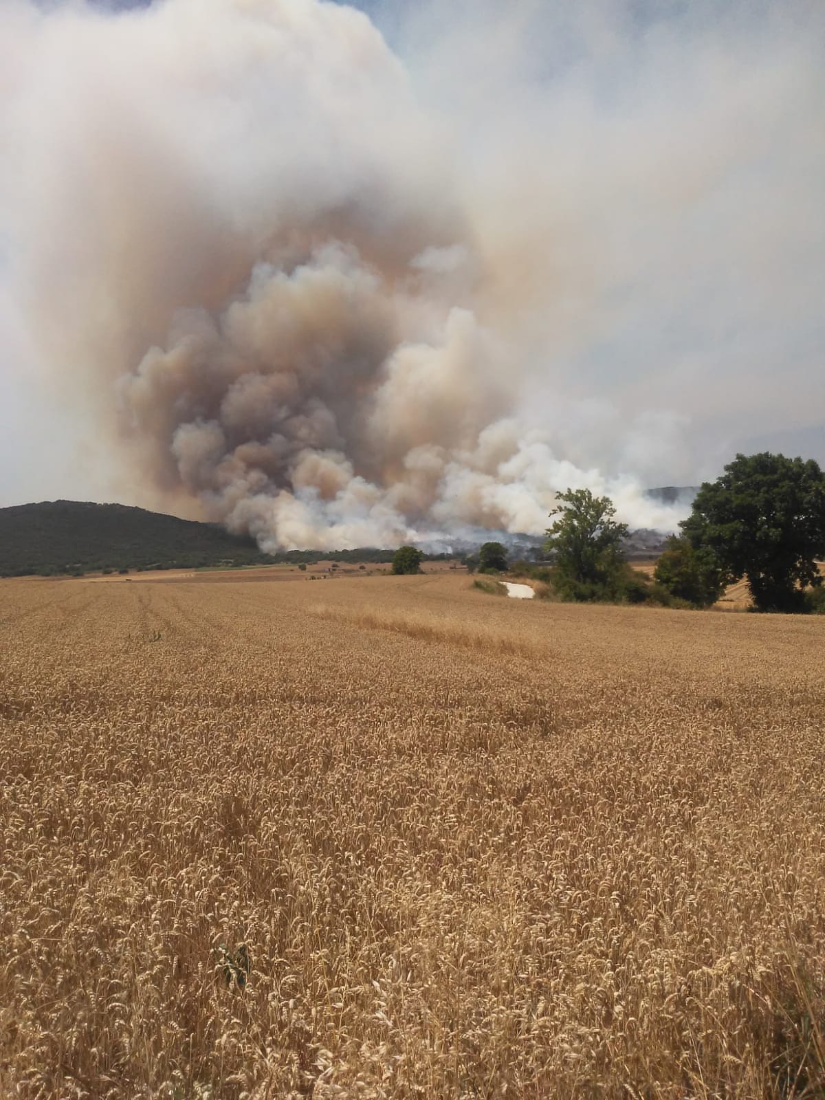 80 efectivos luchan contra el incendio con un gran despligue de aviones y maquinaria