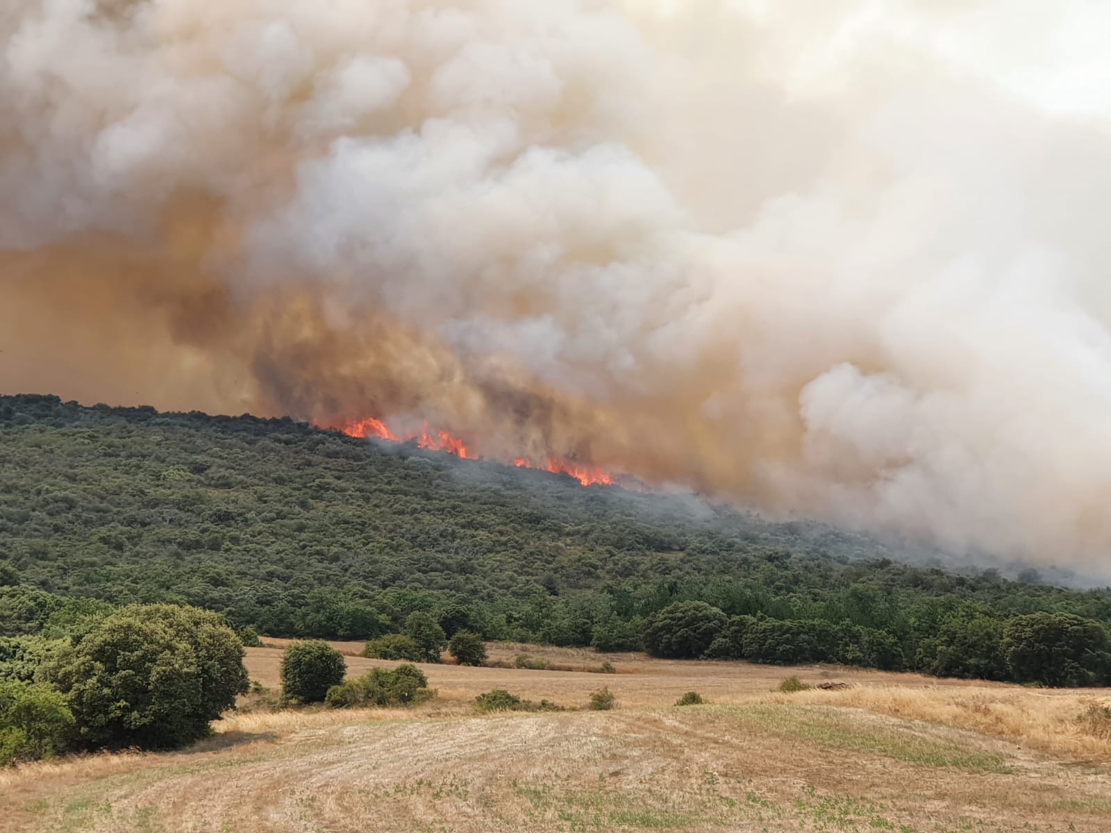 80 efectivos luchan contra el incendio con un gran despligue de aviones y maquinaria