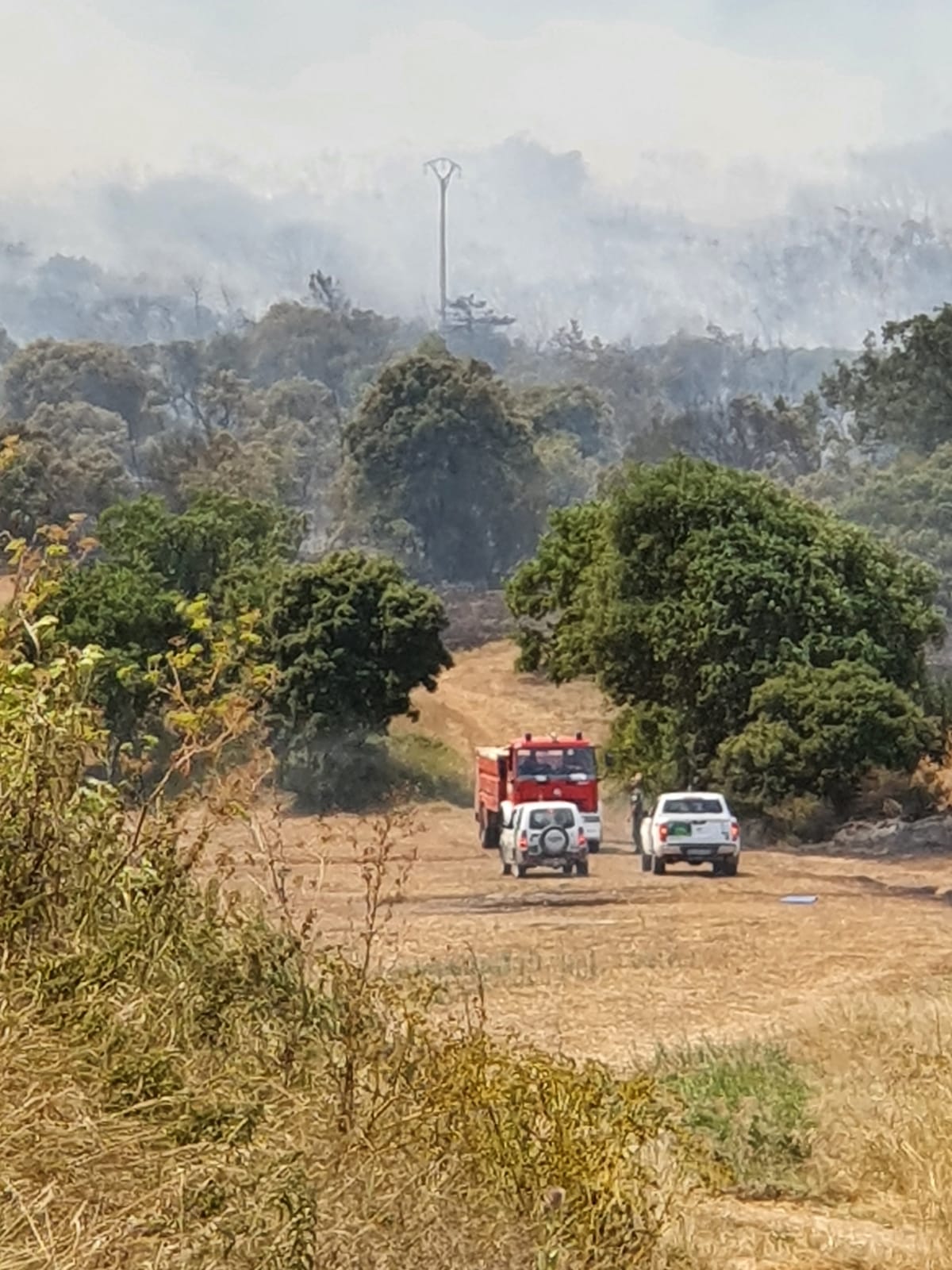 80 efectivos luchan contra el incendio con un gran despligue de aviones y maquinaria