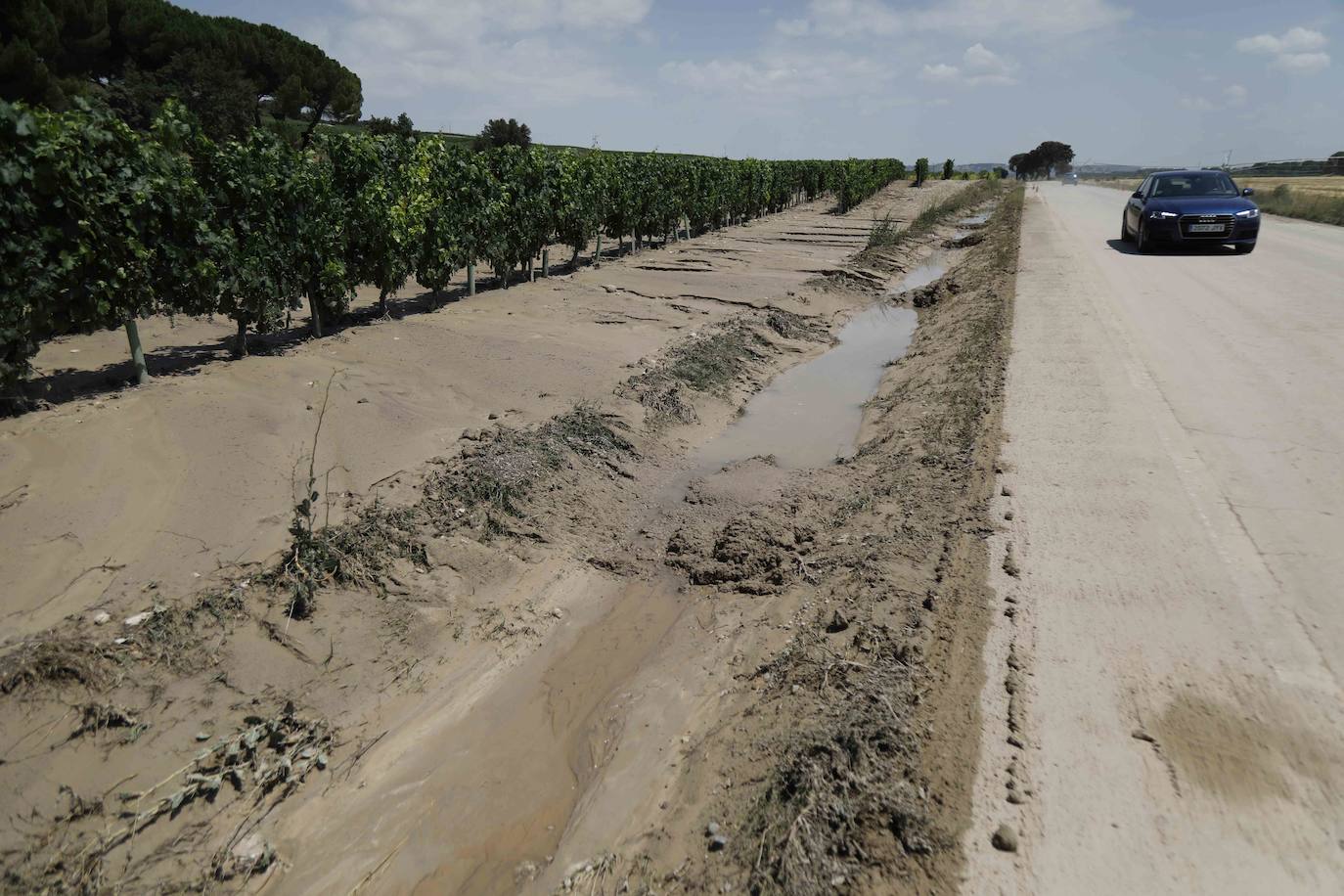 Fotos: Restos de barro en la carretera Pesquera de Duero-Renedo de Esgueva