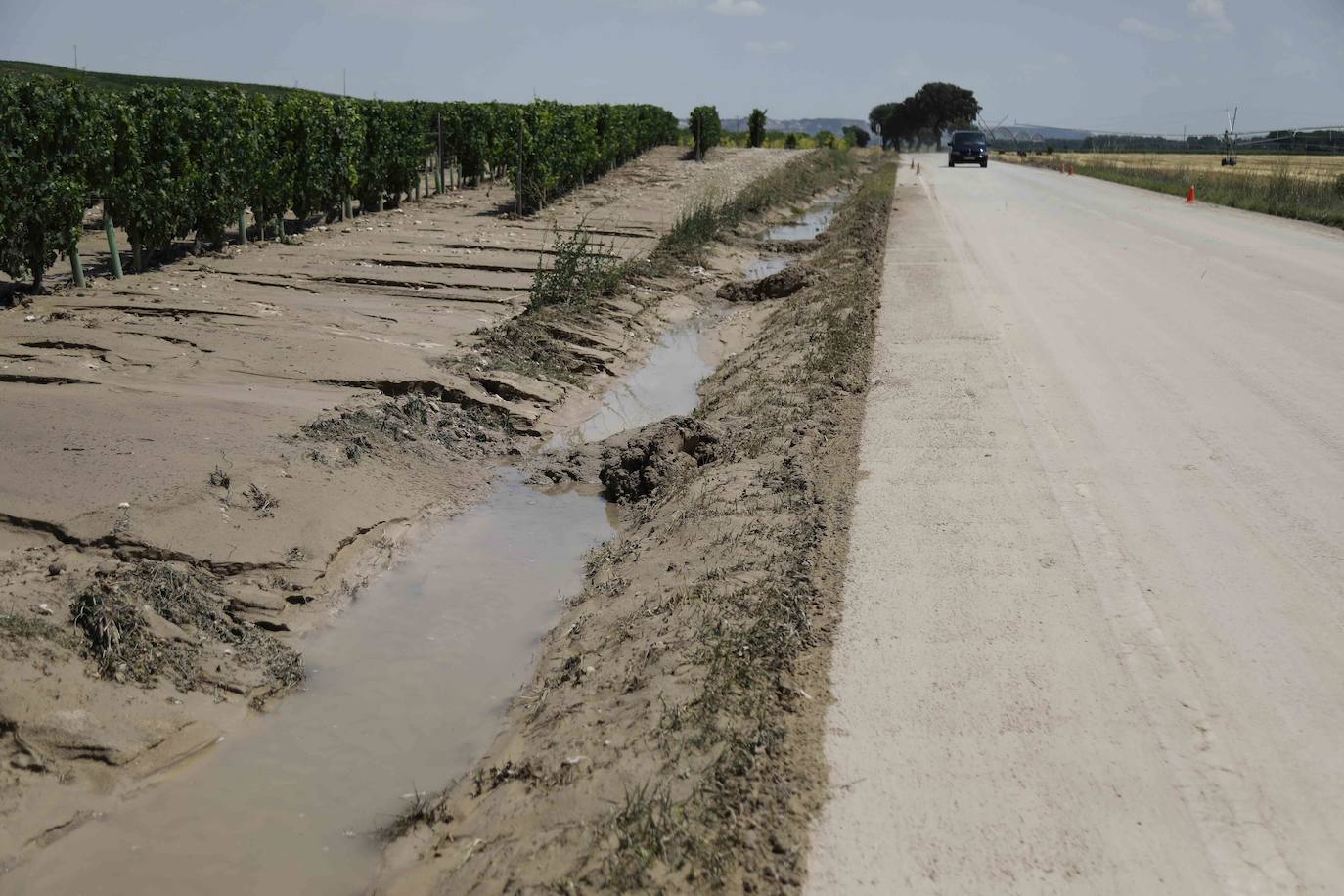 Fotos: Restos de barro en la carretera Pesquera de Duero-Renedo de Esgueva