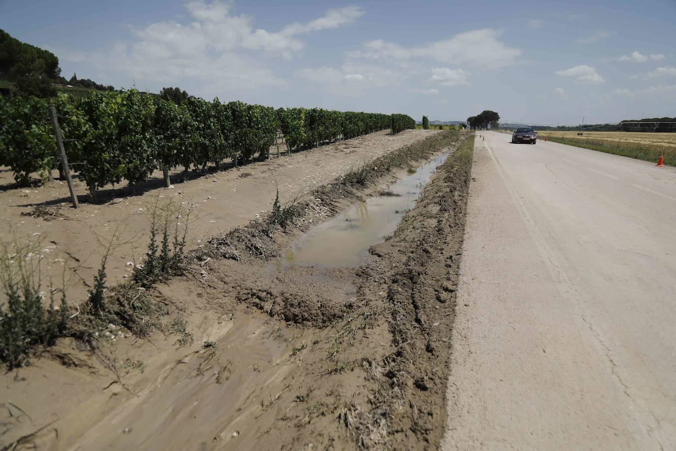 Fotos: Restos de barro en la carretera Pesquera de Duero-Renedo de Esgueva