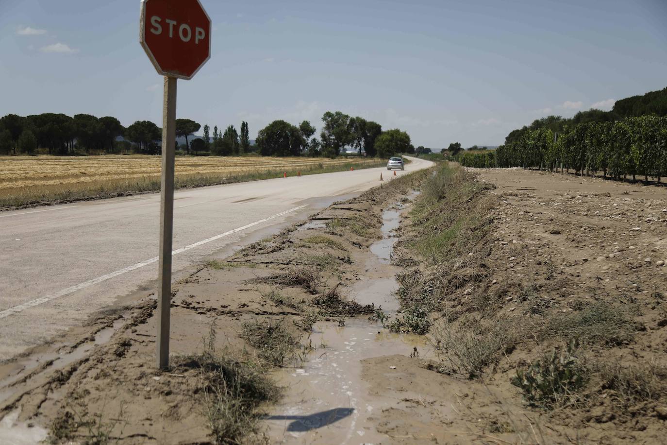 Fotos: Restos de barro en la carretera Pesquera de Duero-Renedo de Esgueva