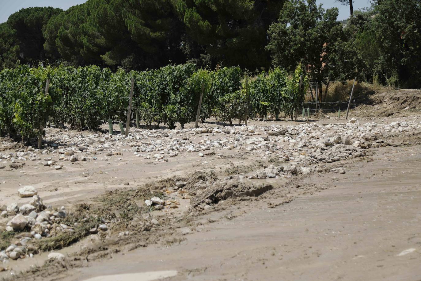 Fotos: Restos de barro en la carretera Pesquera de Duero-Renedo de Esgueva