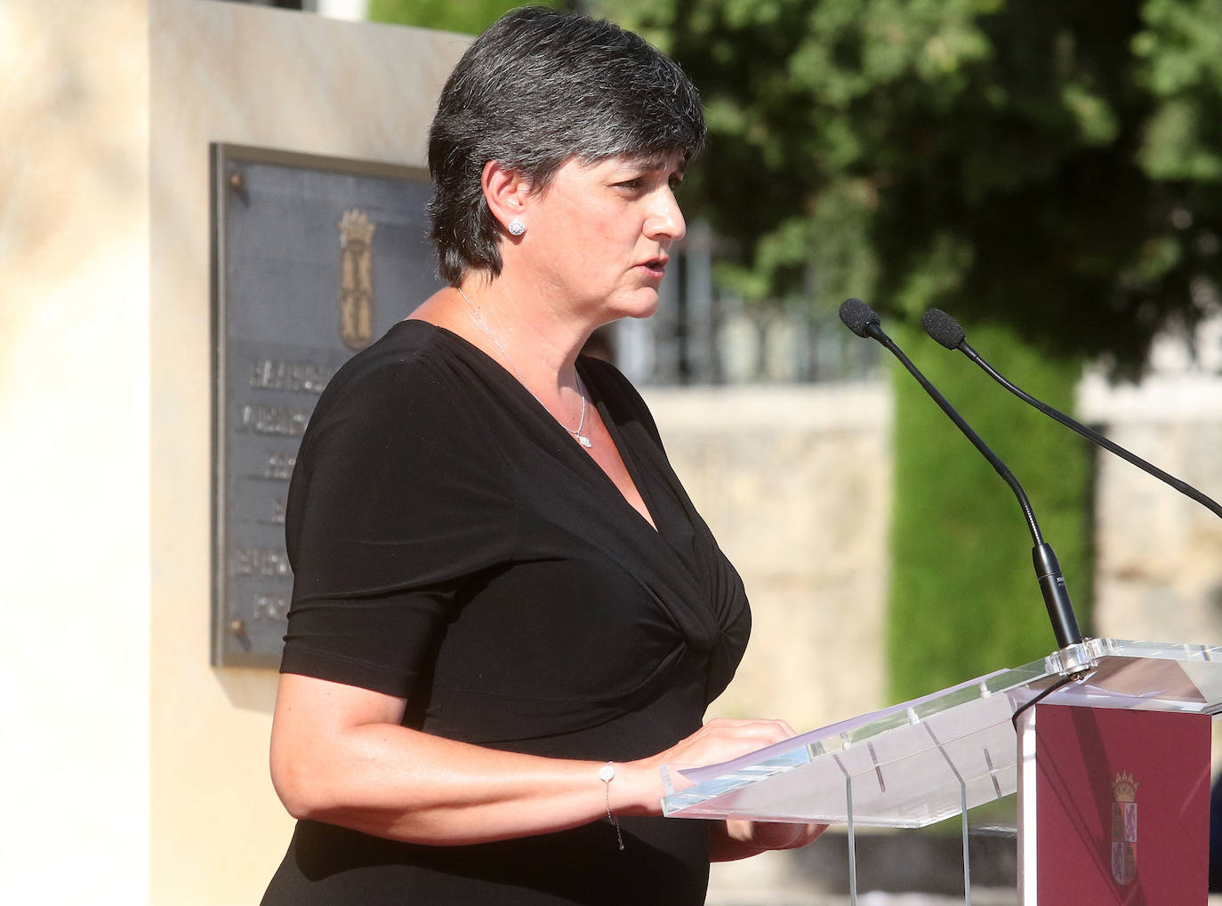 Homenaje a las víctimas de covid en Castilla y León.