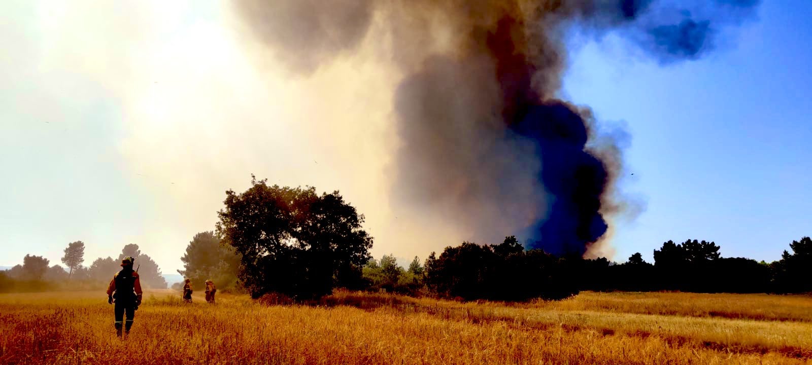 Un gran fuego en Vega de Magaz moviliza a numerosos efectivos por su virulencia | Efectivos de Brif Tabuyo, Rabanal del Camino y Camposagrado, junto al avión de coordinación (ACO) intervienen en la zona.