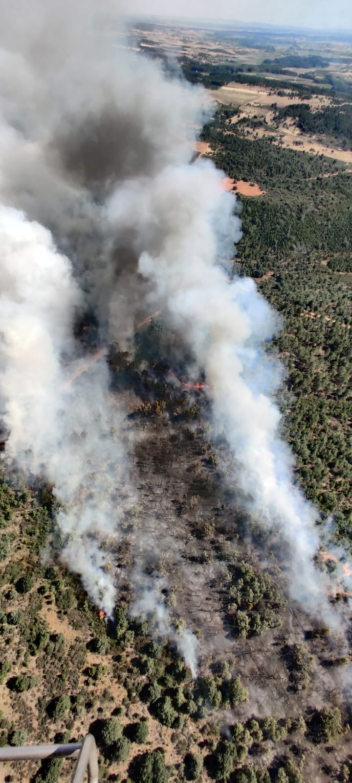 Un gran fuego en Vega de Magaz moviliza a numerosos efectivos por su virulencia | Efectivos de Brif Tabuyo, Rabanal del Camino y Camposagrado, junto al avión de coordinación (ACO) intervienen en la zona.