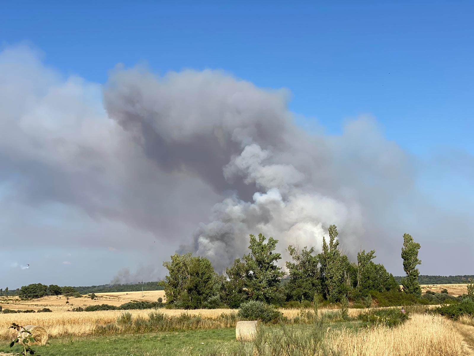 Un gran fuego en Vega de Magaz moviliza a numerosos efectivos por su virulencia | Efectivos de Brif Tabuyo, Rabanal del Camino y Camposagrado, junto al avión de coordinación (ACO) intervienen en la zona.