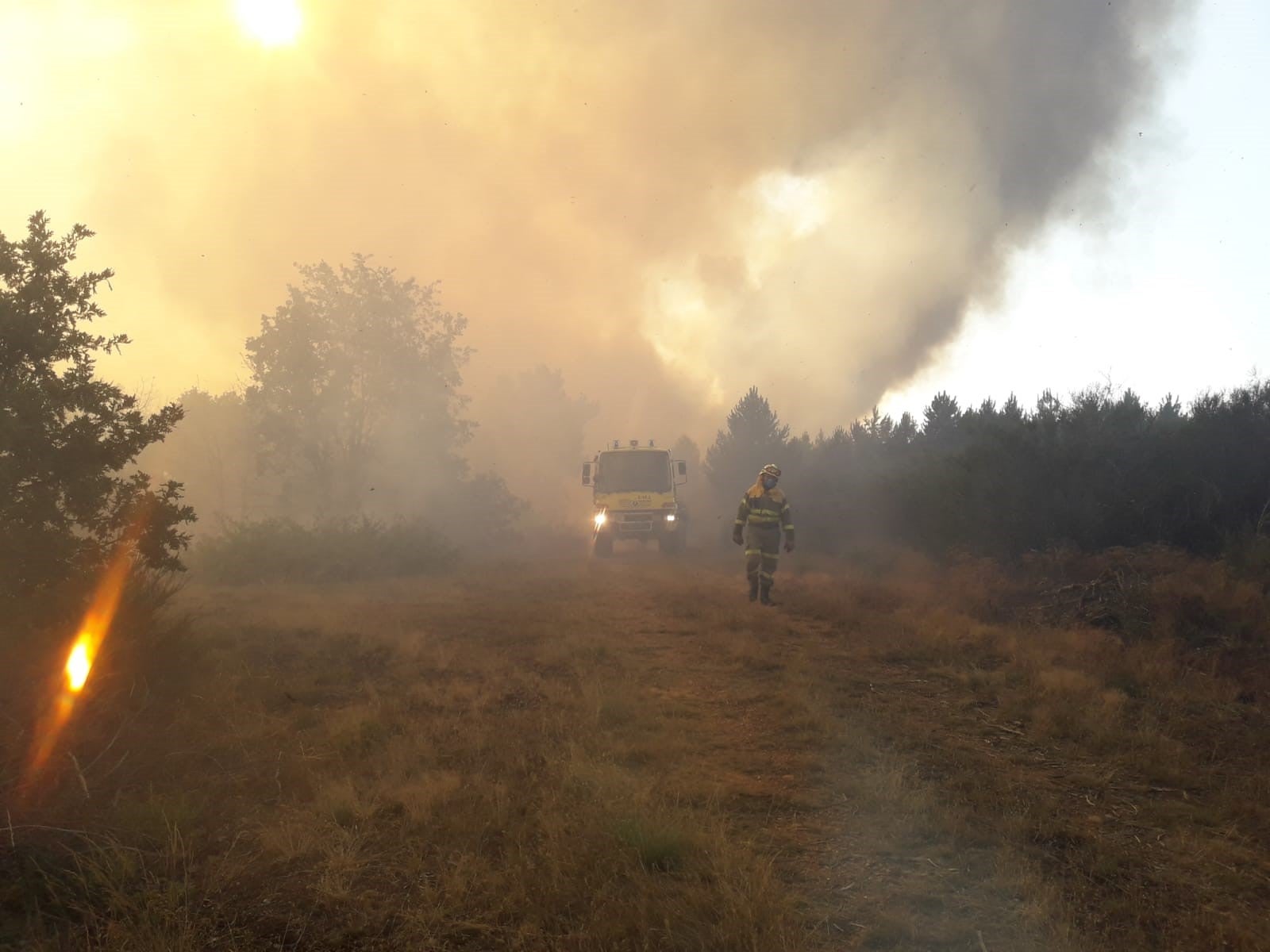 Un gran fuego en Vega de Magaz moviliza a numerosos efectivos por su virulencia | Efectivos de Brif Tabuyo, Rabanal del Camino y Camposagrado, junto al avión de coordinación (ACO) intervienen en la zona.