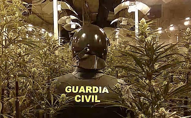 Imagen principal - Secuencia del registro en la nave de la calle Estaño, donde vivían dos ciudadanos vietnamitas para cultivar marihuana a gran escala.