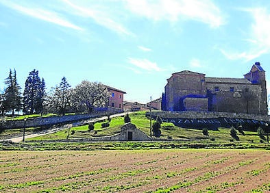 Imagen secundaria 1 - Arriba, calles del municipio; viñedos y bodega