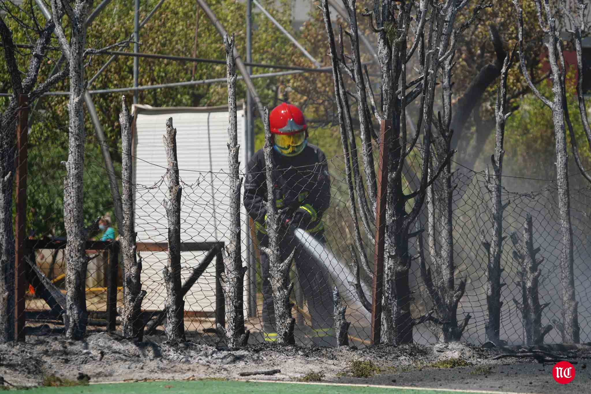 Los bomberos en labores de extinción del incendi.o