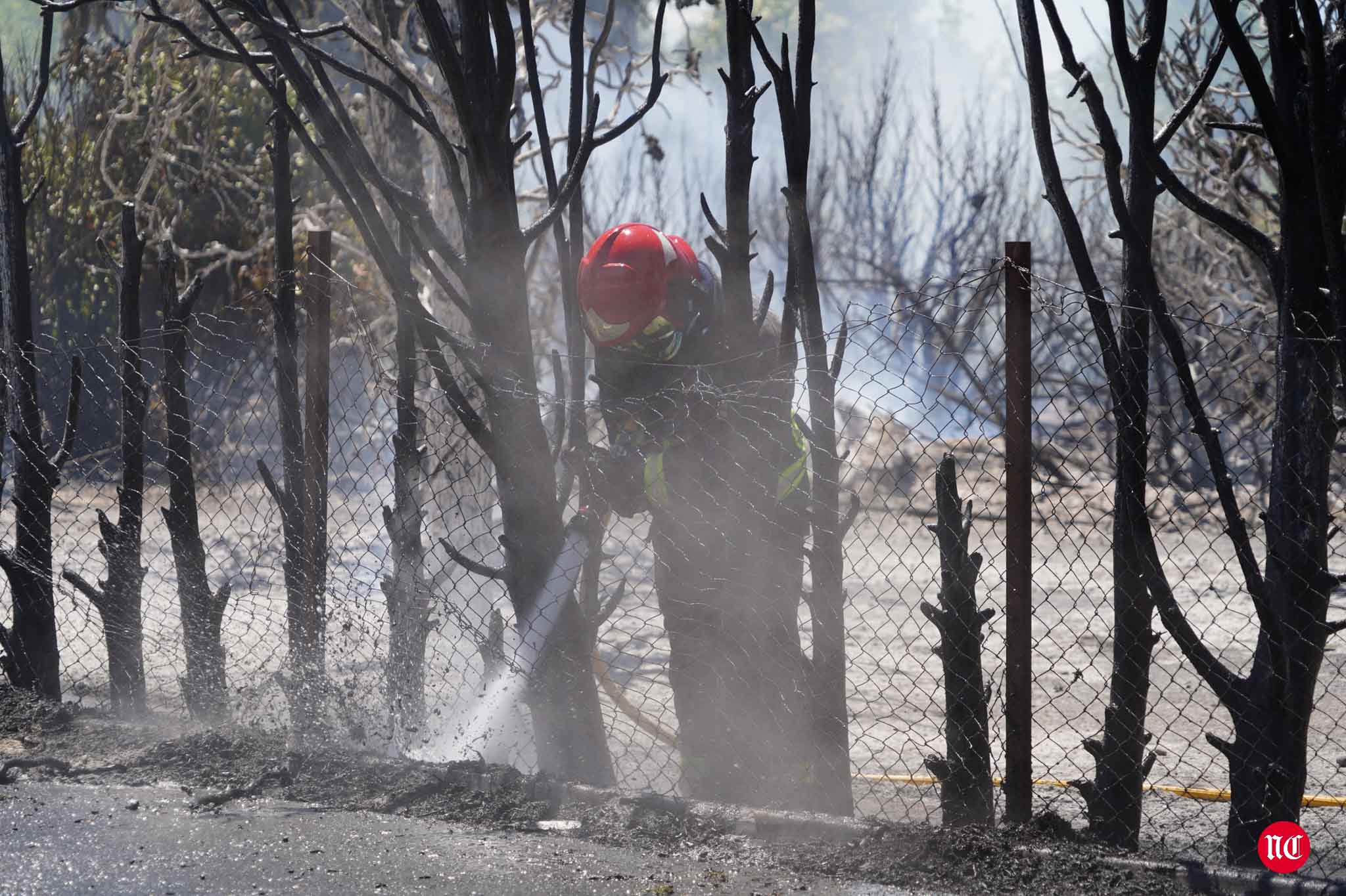 Los bomberos en labores de extinción del incendi.o