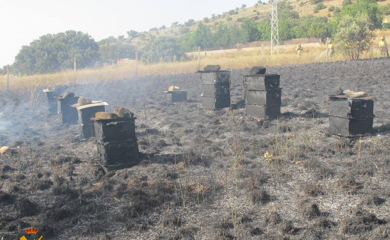 Colmenas en la zona del incendio. 