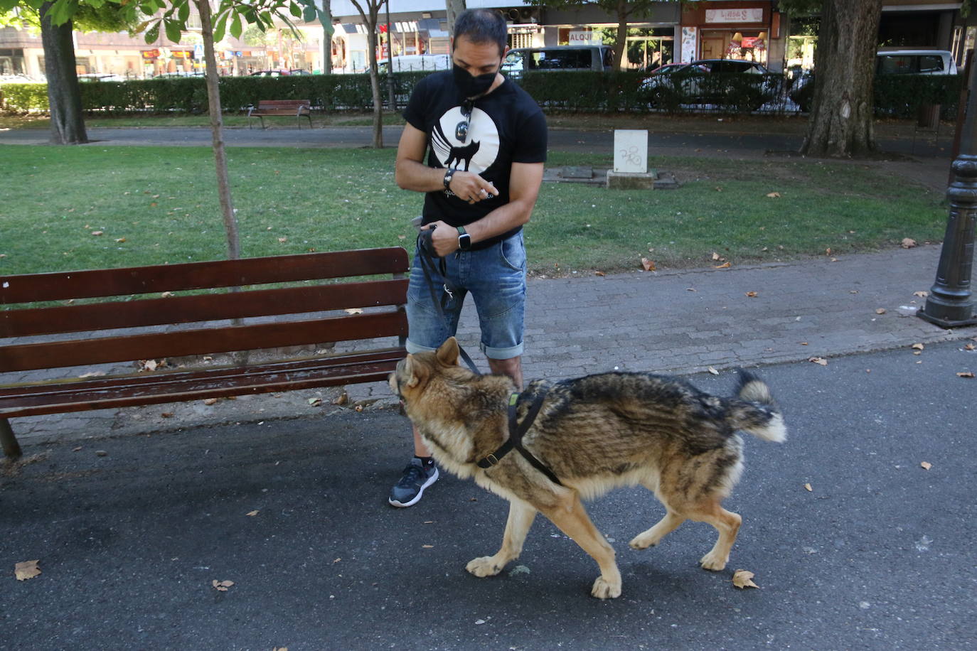 Mina, Laya y Afro hicieron las maletas con su dueño y viajaron hasta Portugal para rodar una superproducción | No es la primera vez que los tres perros rueda una película o aparecen en una serie, pero sí la primera que se codean con Nicolas Cage. 