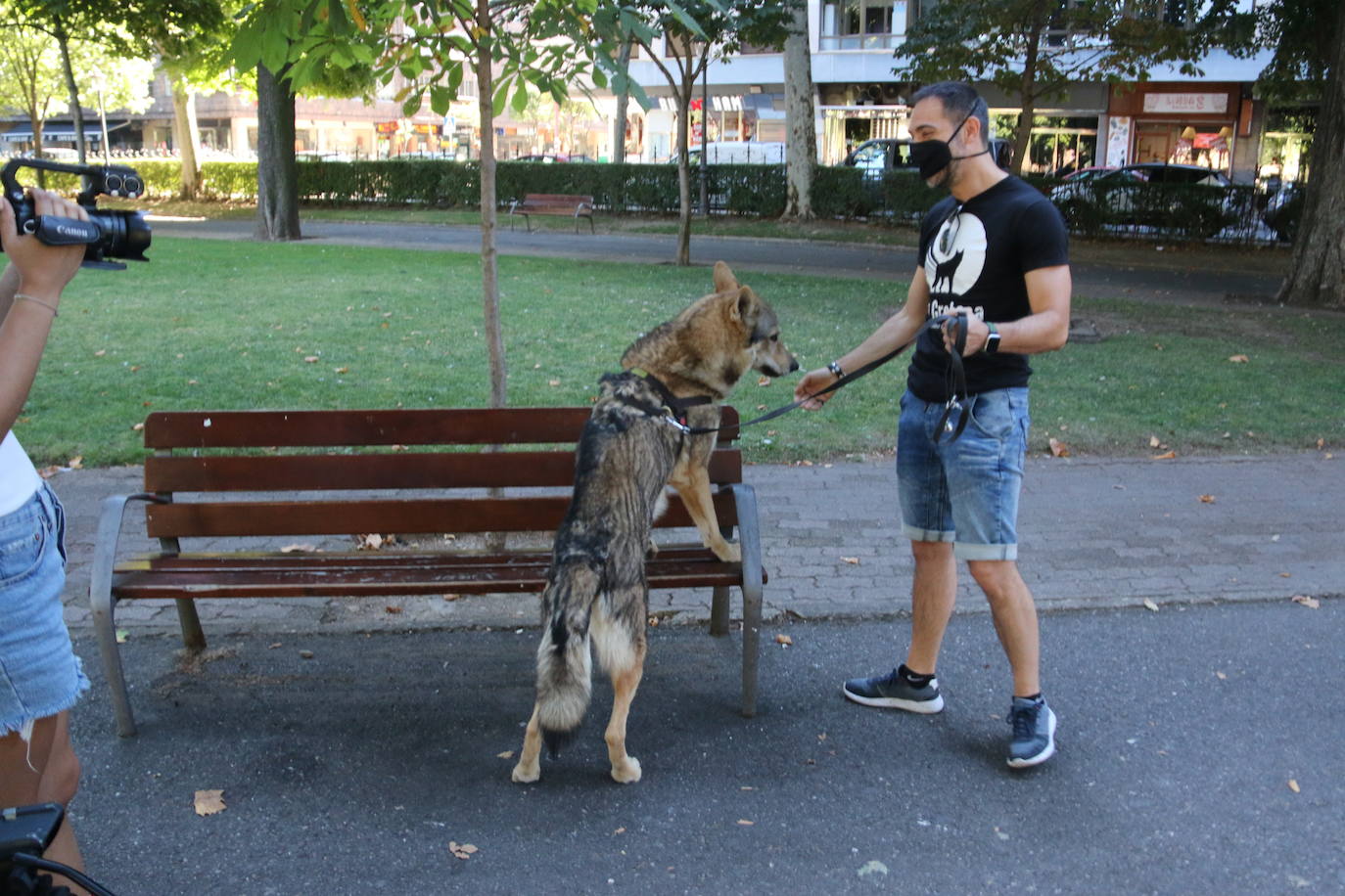 Mina, Laya y Afro hicieron las maletas con su dueño y viajaron hasta Portugal para rodar una superproducción | No es la primera vez que los tres perros rueda una película o aparecen en una serie, pero sí la primera que se codean con Nicolas Cage. 