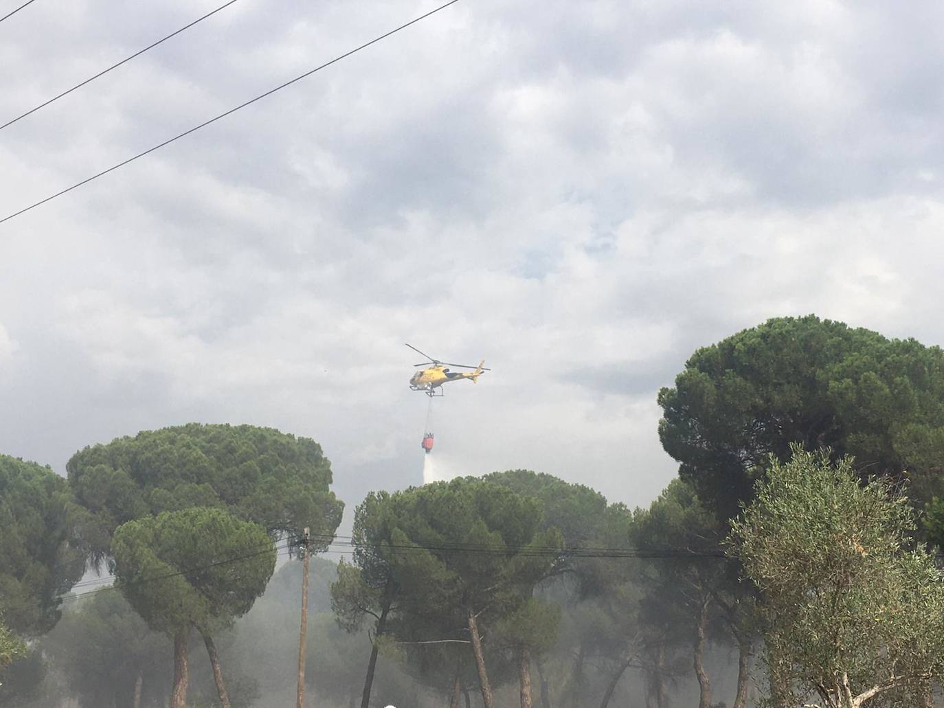 Las llamas han afectado al pinar de Simancas. 