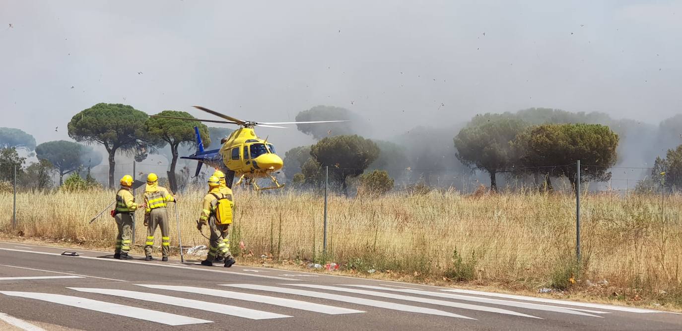 Las llamas han afectado al pinar de Simancas. 