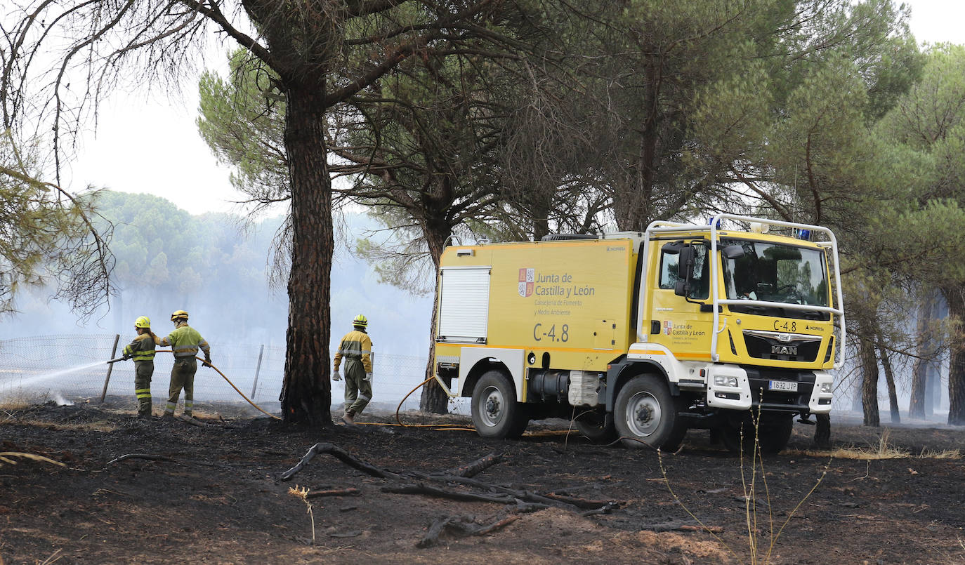 Las llamas han afectado al pinar de Simancas. 