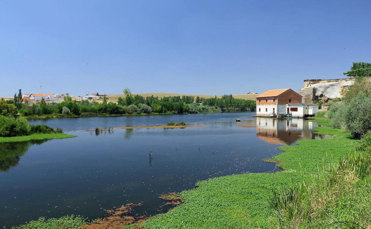 El río Tormes, a su paso por Alba de Tormes. 