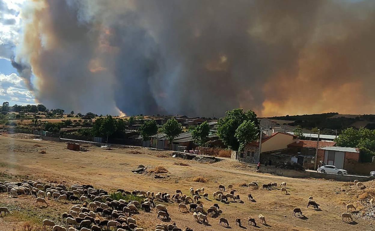 Doce medios aéreos y la UME combaten el fuego que amenaza varios pueblos de Zamora