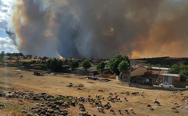 Doce medios aéreos y la UME combaten el fuego que amenaza varios pueblos de Zamora