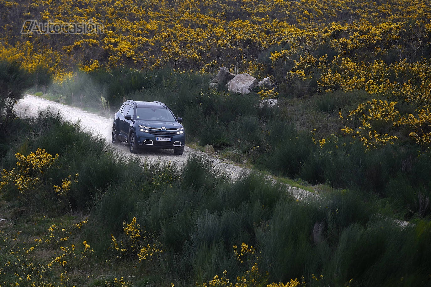 Fotos: Fotogalería: Citroën C5 Aircross BlueHDi 180