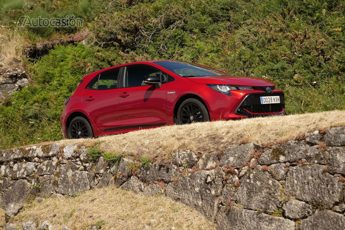 Fotos: Fotogalería: Toyota Corolla 1.8H