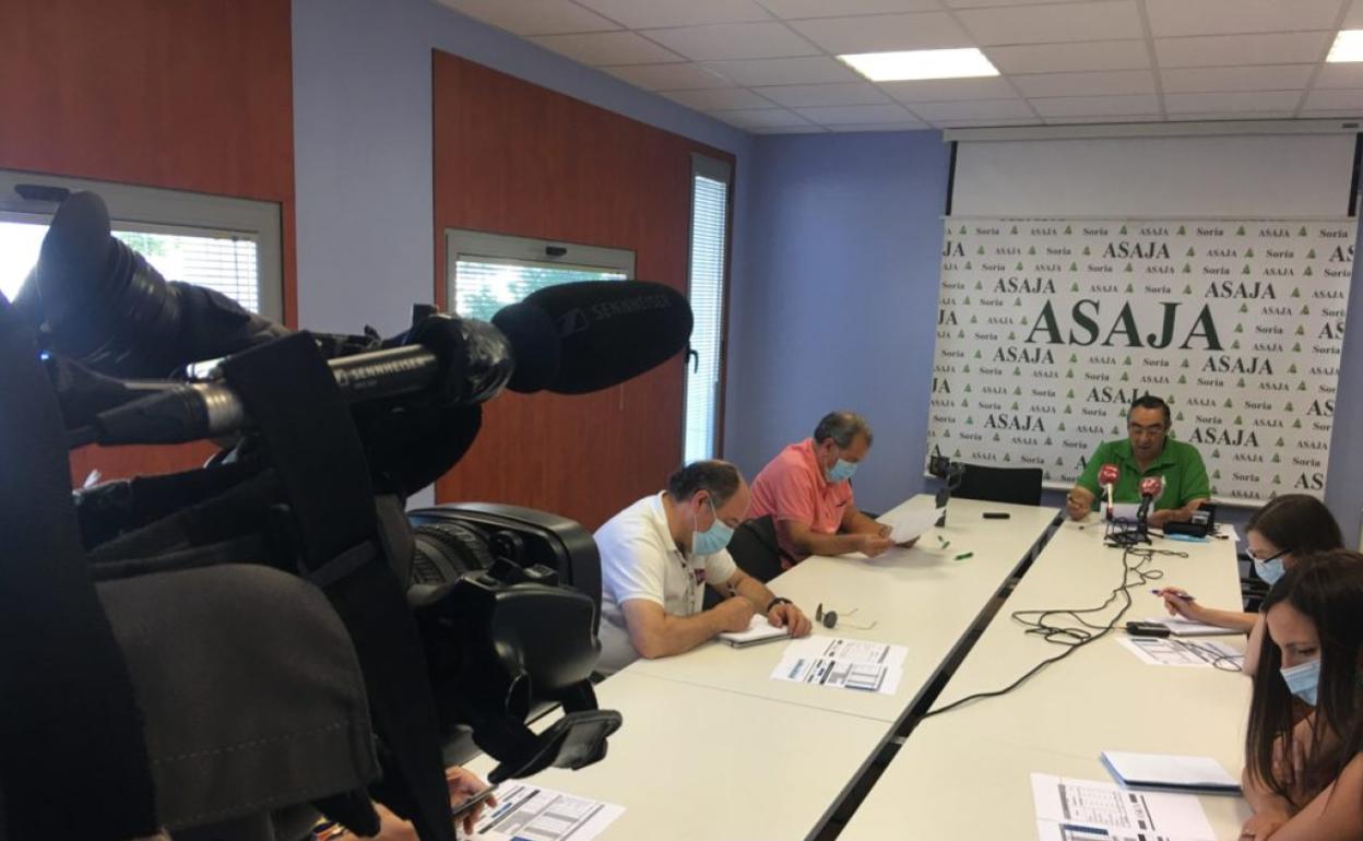 Asaja Soria cifra en 3.660 kilos por hectárea la media de la cosecha de todo el cereal de la provincia