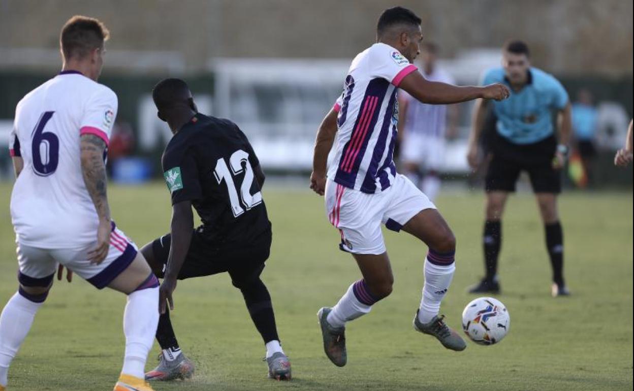 Encuesta: ¿cómo te gustaría que jugara el Real Valladolid durante la Liga?