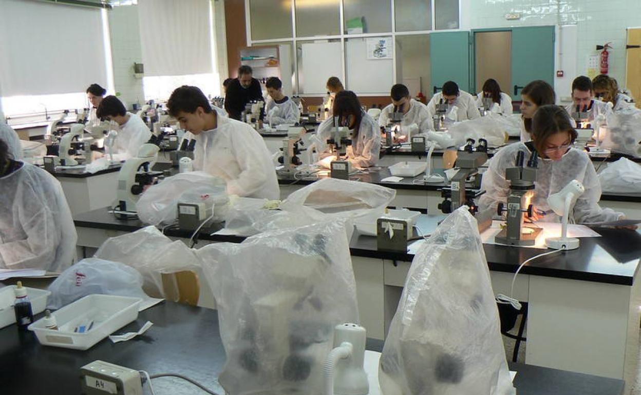 Un alumno del IES Núñez de Arce de Valladolid, ganador de la XV Olimpiada Española de Biología