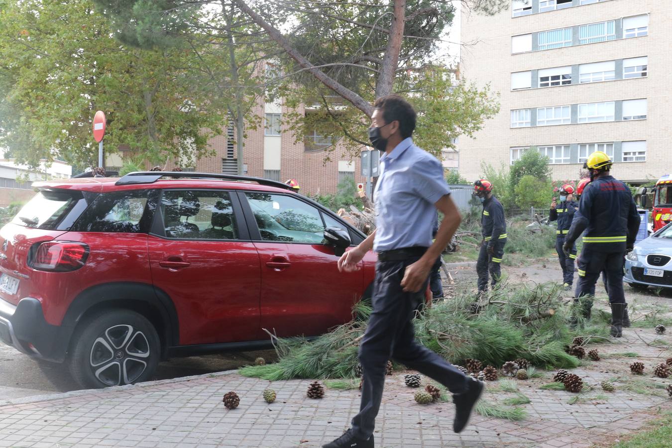 El suceso ha tenido lugar en la calle Arzobispo José Delicado, aunque no ha causado daños personales