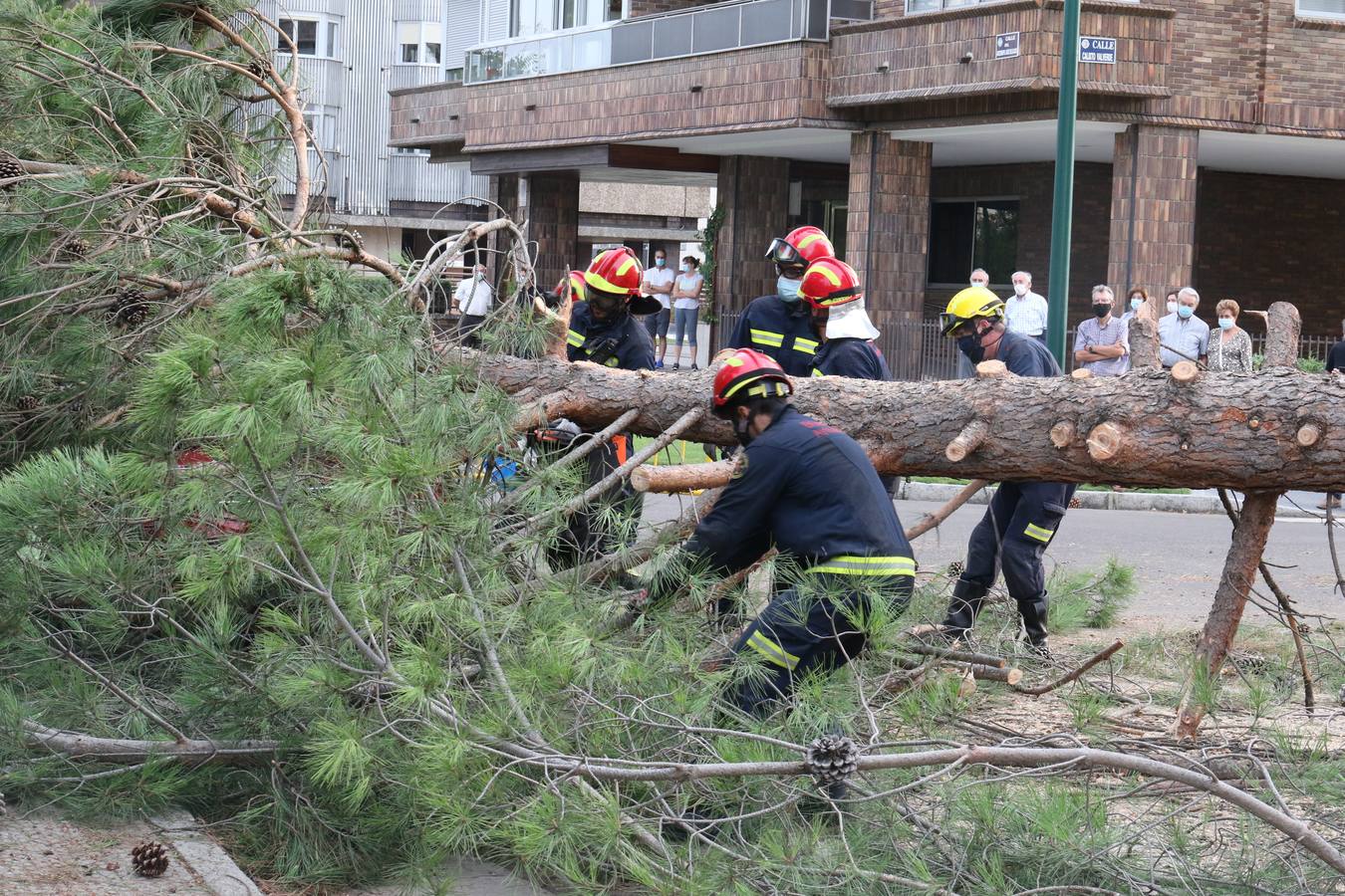 El suceso ha tenido lugar en la calle Arzobispo José Delicado, aunque no ha causado daños personales