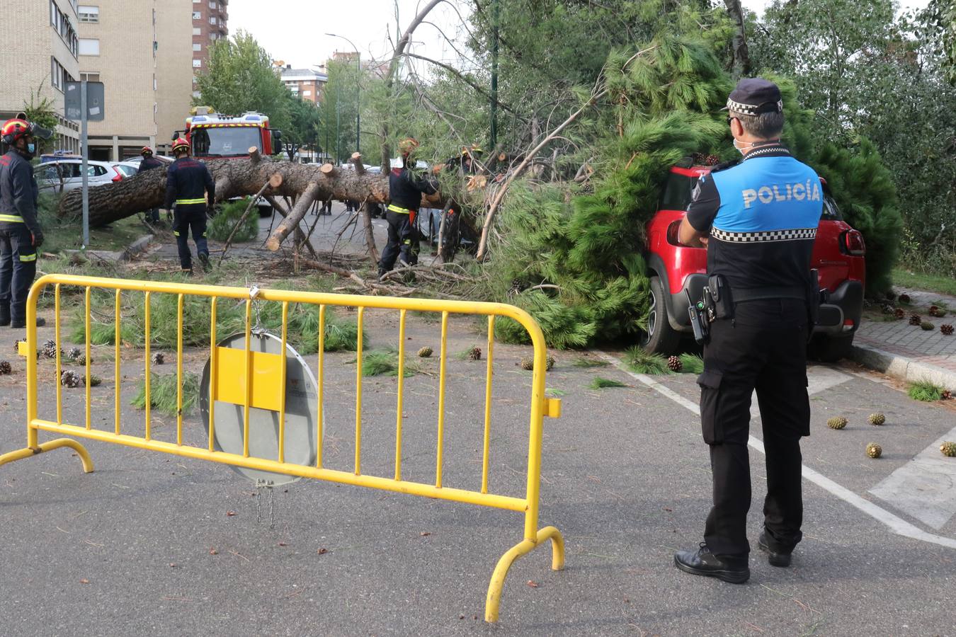 El suceso ha tenido lugar en la calle Arzobispo José Delicado, aunque no ha causado daños personales