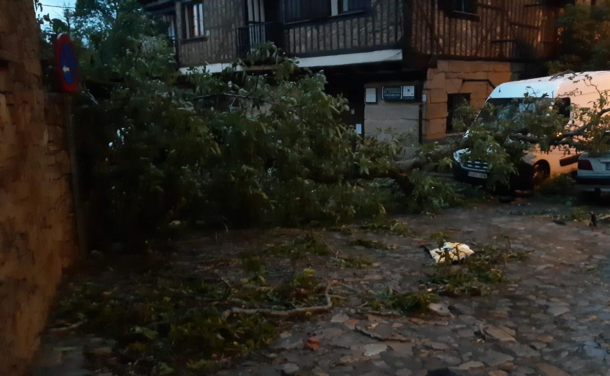 Efectos de la tormenta del pasado jueves en la zona de La Alberca