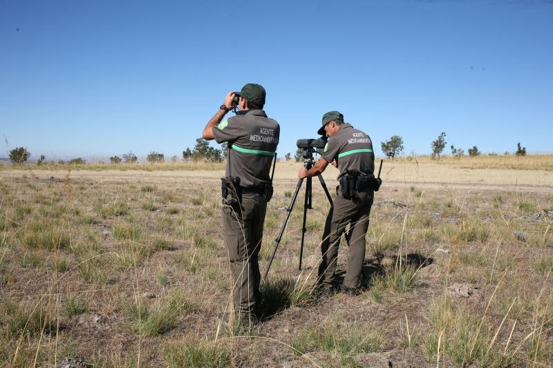 Dos agentes medioambientales de la Junta vigilan la llanura castellana.