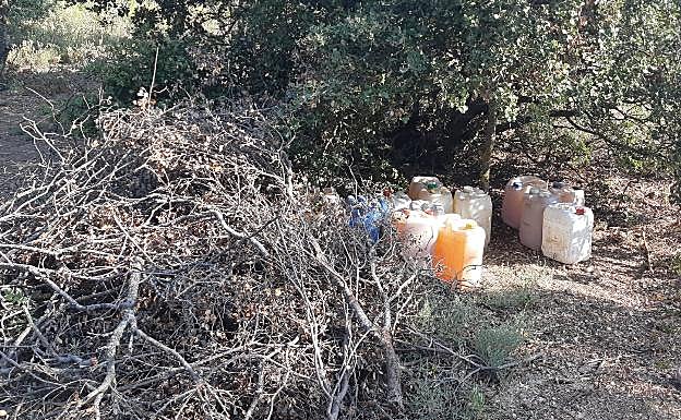 La Guardia Civil detiene a cuatro personas tras desmantelar una plantación de marihuana en Soria