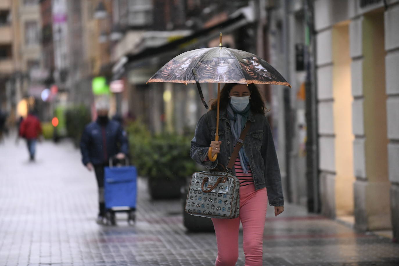 Fotos: Activada la alerta naranja por viento en Valladolid