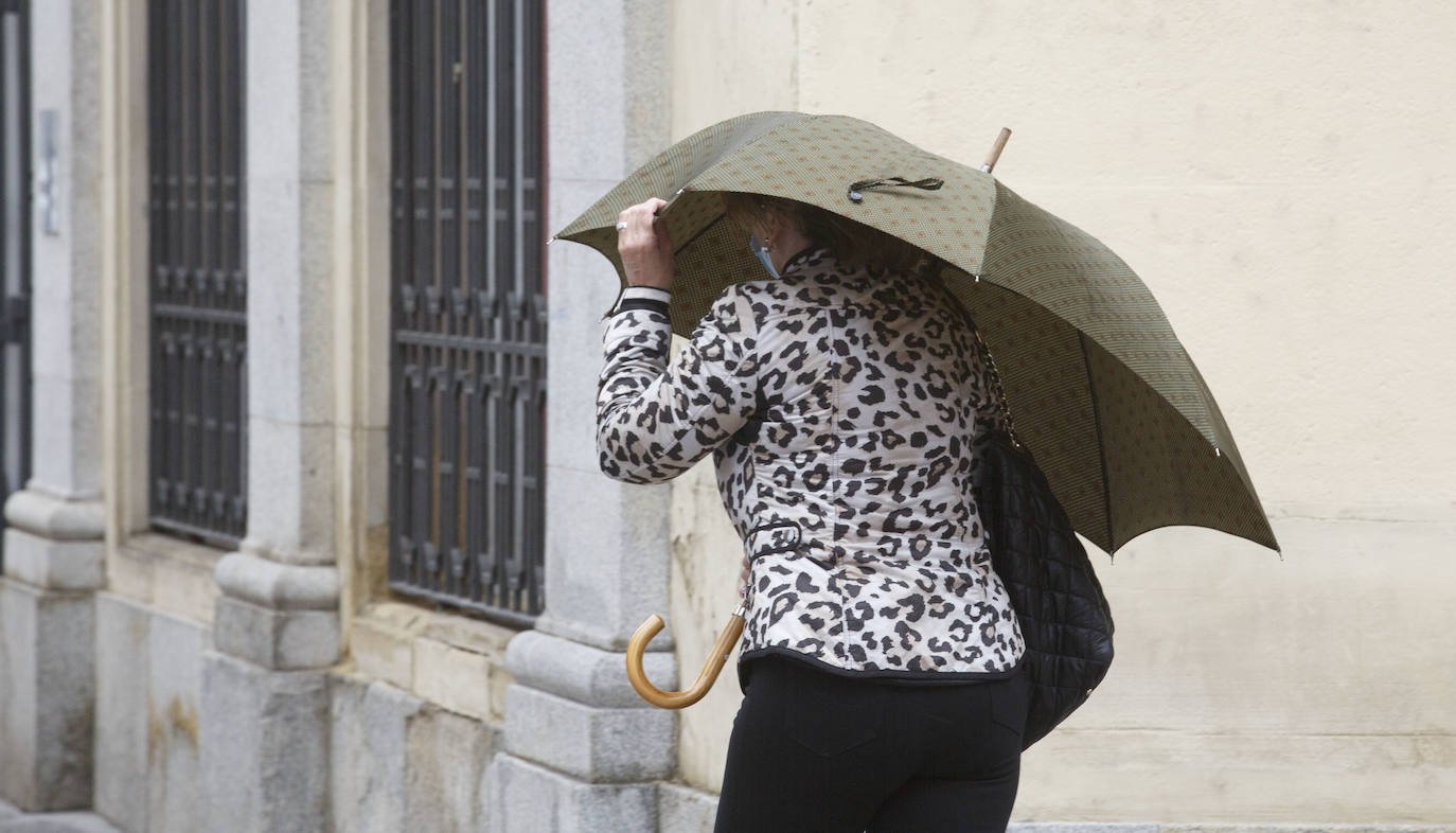 Fotos: Activada la alerta naranja por viento en Valladolid