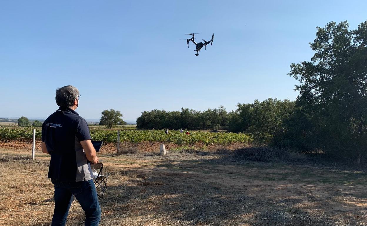 Un técnico dirigiendo a un dron audiovisual en un viñedo durante las labores de vendimia en Ribera del Duero