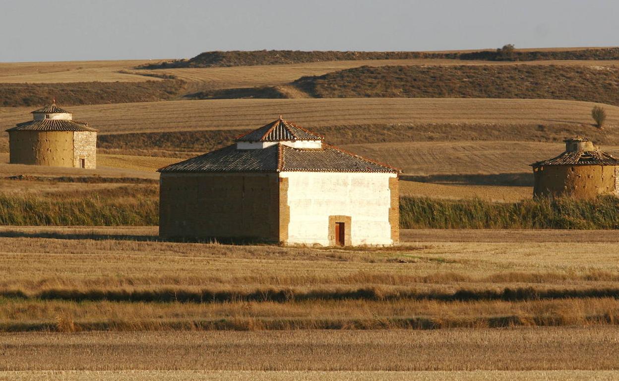 Palomares en Tierra de Campos, en la provincia de Palencia. 