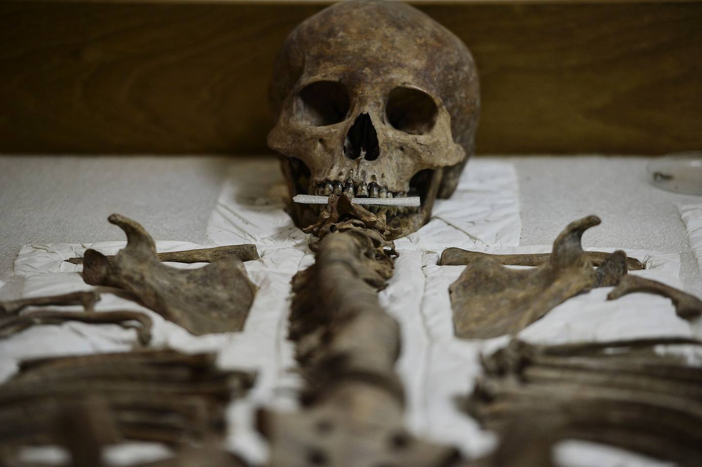 Fotos: La impresionante escalera de jeroglíficos maya