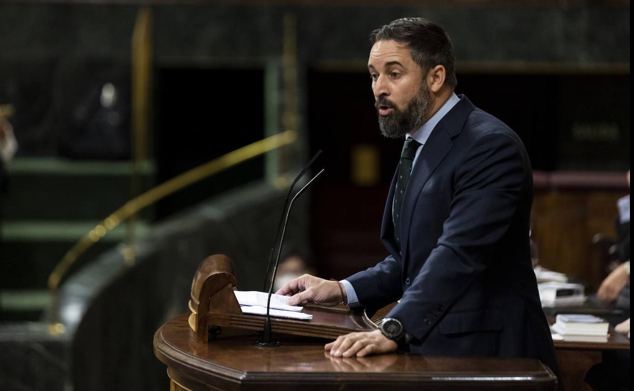 Santiago Abascal, en la tribuna del Congreso de los Diputados.