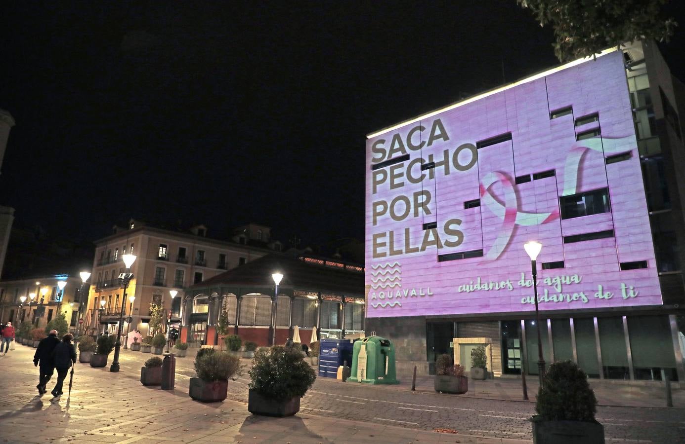 Fotos: Valladolid se viste de rosa